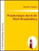 eBook-Download: Theodor Fontanes...
